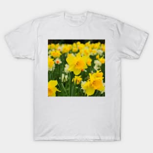 Vibrant Yellow Wild Daffodil T-Shirt